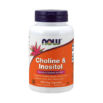 Choline & Inositol 500mg 100 Kapseln von NOW Foods online kaufen