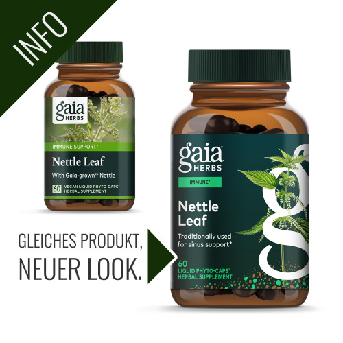 Neue Verpackung Nettle Leaf Kapseln