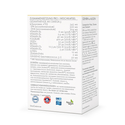 Active Mind Vision Complex