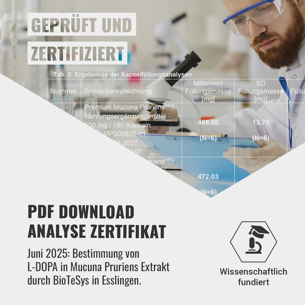Analyse Zertifikat als PDF Download
